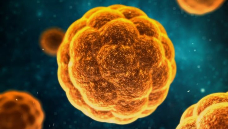 Gejala infeksi hepatitis A