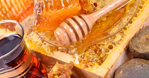 Apitherapy, the benefits of honey in the service of health