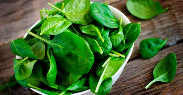 Benefits of Spinach and How to Process it