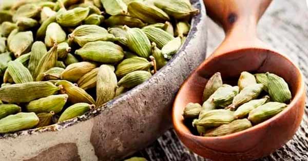 Cardamom: properties, benefits and virtues of this spice