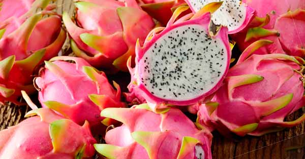 Dragon-fruit-all-its-benefits
