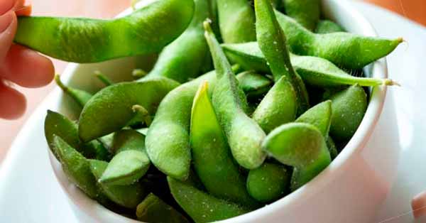 Edamame