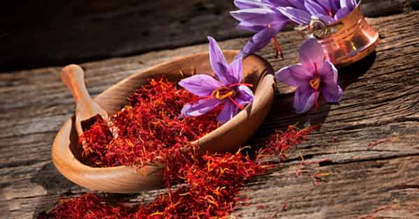 Fungsi Safron bagi Tubuh