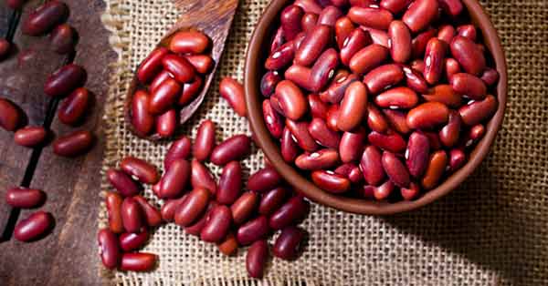 Kacang Merah