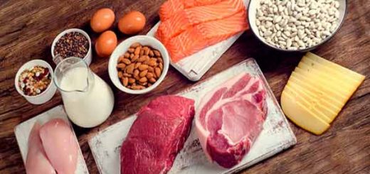 Makanan yang Mengandung Protein