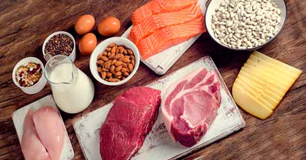 Makanan yang Mengandung Protein