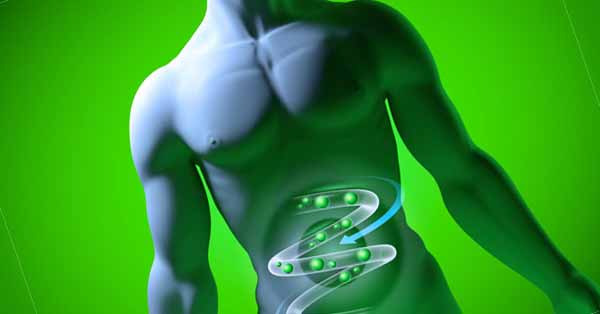 Metabolisme