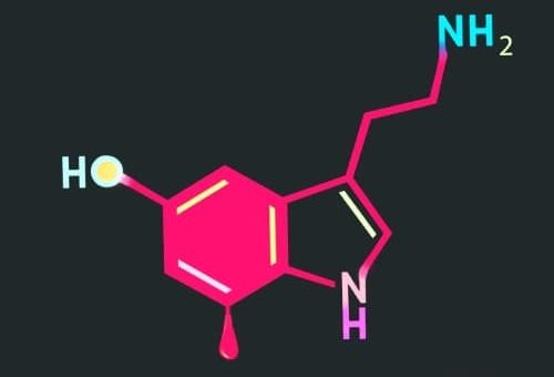 Serotonin