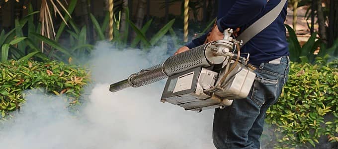 Dampak Negatif Fogging Nyamuk