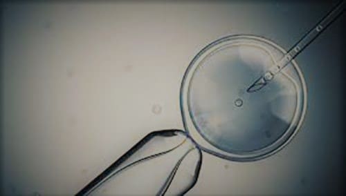 Inseminasi Buatan