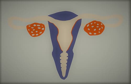 Siklus Menstruasi