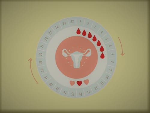 Siklus Menstruasi adalah