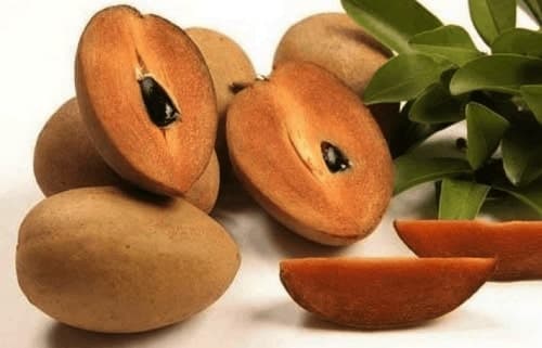 Buah Sawo