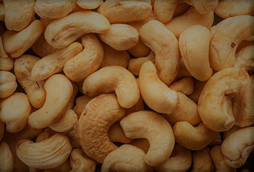 Kacang mete