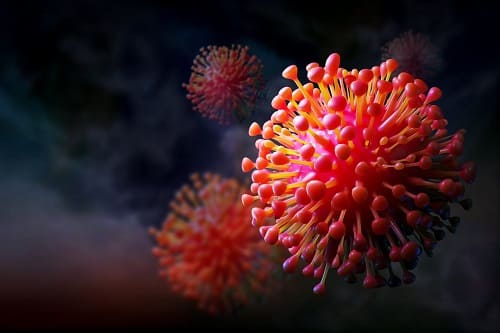 virus vs bakteri