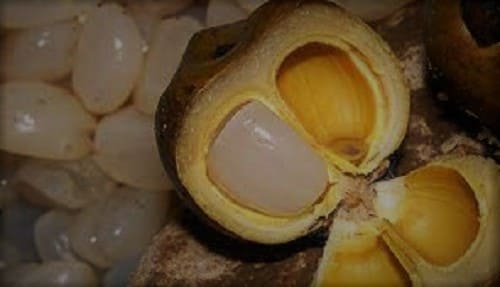 Kolang kaling