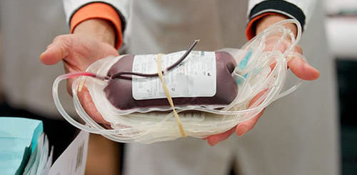 proses transfusi darah