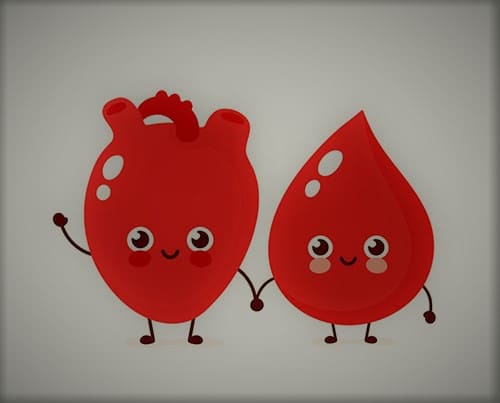 proses transfusi darah adalah
