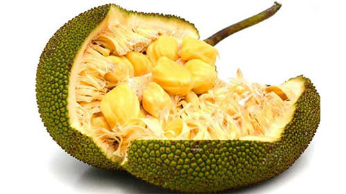 khasiat buah cempedak