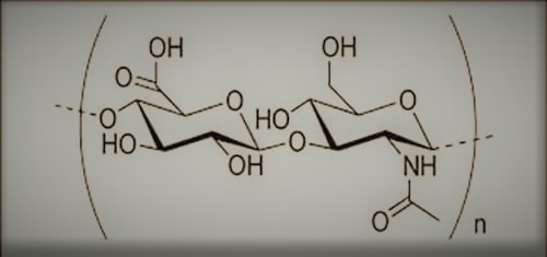 hyaluronic acid