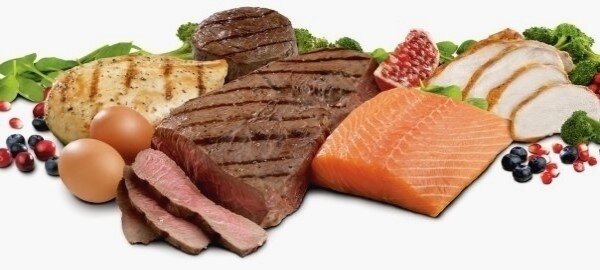 Makanan kaya protein hewani adalah 