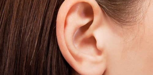 struktur telinga dan fungsinya