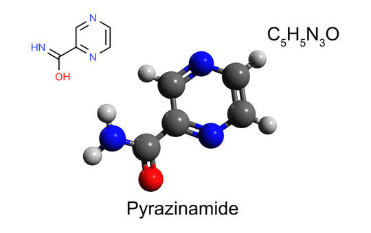 mengenal pirazinamide