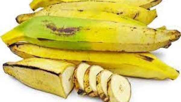 pisang tanduk