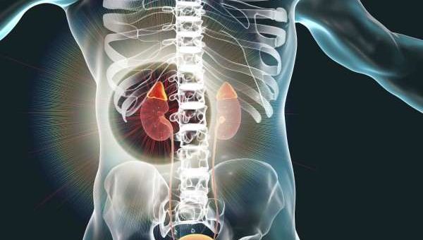 Kelenjar Adrenal