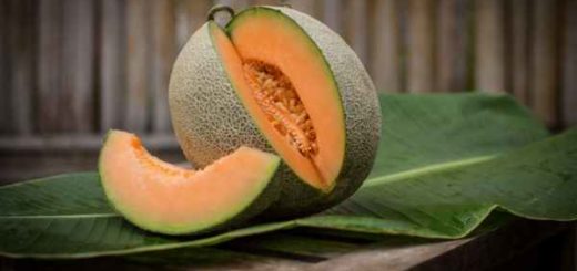 Manfaat Melon untuk Kesehatan