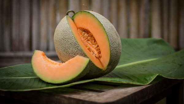 Manfaat Melon untuk Kesehatan